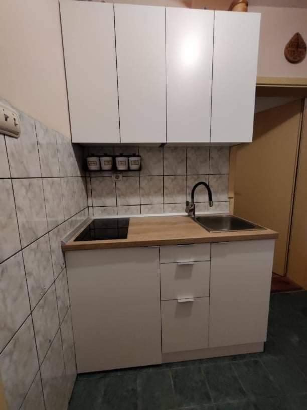 ホテル Apartman Gogi ズラティボール エクステリア 写真